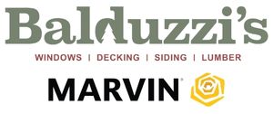 Balduzzi Online POH Ad